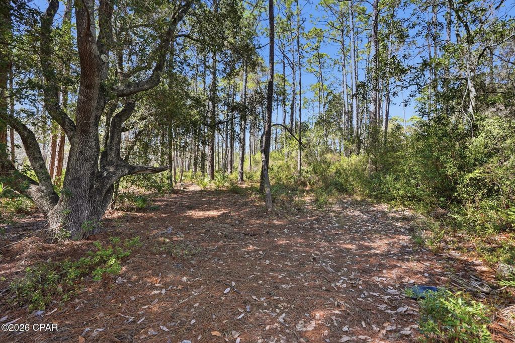 Image 13 of property listing at 22100 Trumpet Trail, Panama City Beach, FL 32413