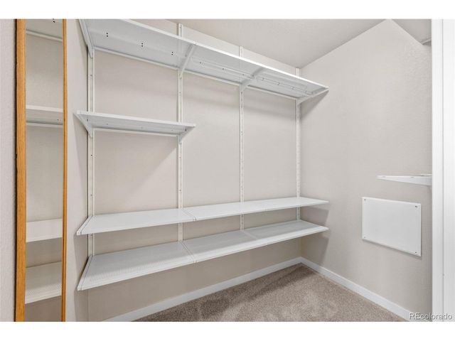 10137 Belvedere Loop, Lone Tree, CO 80124