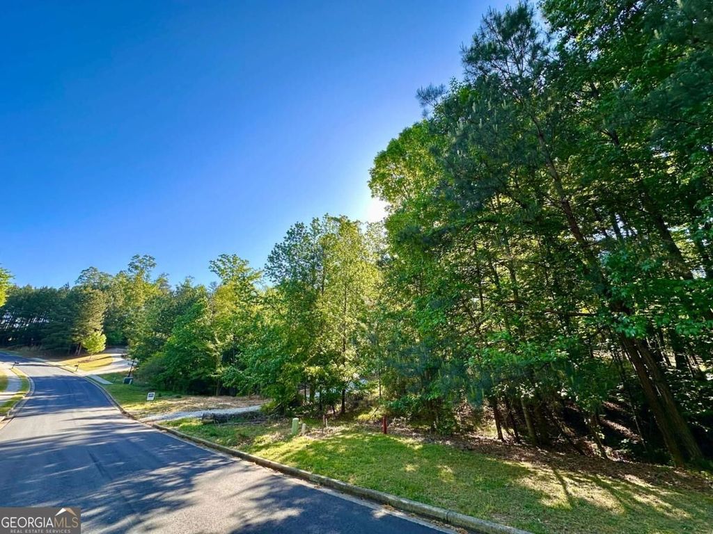 564 Bear Creek Lane, Bogart, GA 30622 — photo 3