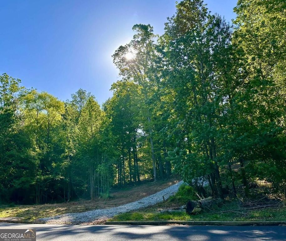 564 Bear Creek Lane, Bogart, GA 30622 — photo 4