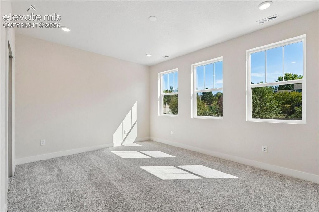 3017 Curly Grove, Colorado Springs, CO 80922 — photo 3