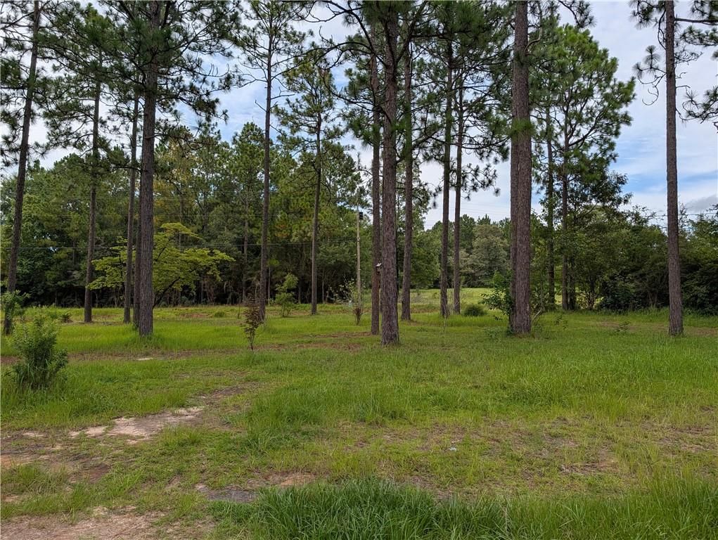 10845 Glenwood Farms Drive, Wilmer, AL 36587 — photo 4