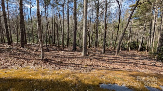 257 Roberts Lane N 7, Flat Rock, NC 28731