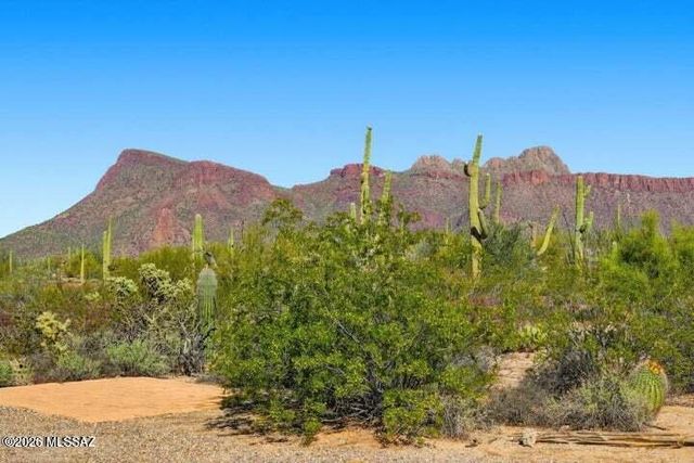 10314 W Rudasill Road, Tucson, AZ 85743