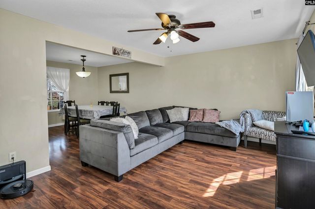 120 Tail Feather Way, Chapin, SC 29036