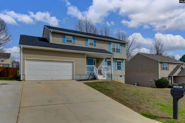 120 Tail Feather Way, Chapin, SC 29036