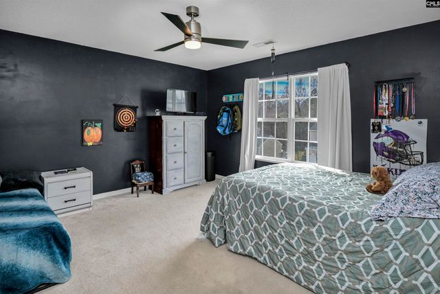 120 Tail Feather Way, Chapin, SC 29036