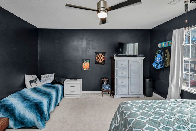 120 Tail Feather Way, Chapin, SC 29036