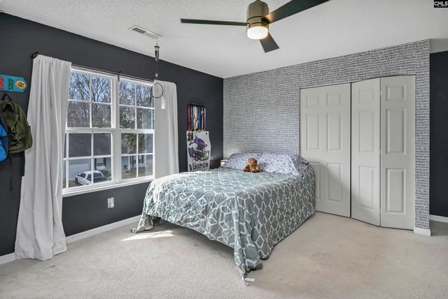 120 Tail Feather Way, Chapin, SC 29036