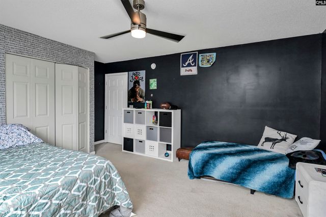 120 Tail Feather Way, Chapin, SC 29036