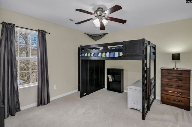 120 Tail Feather Way, Chapin, SC 29036