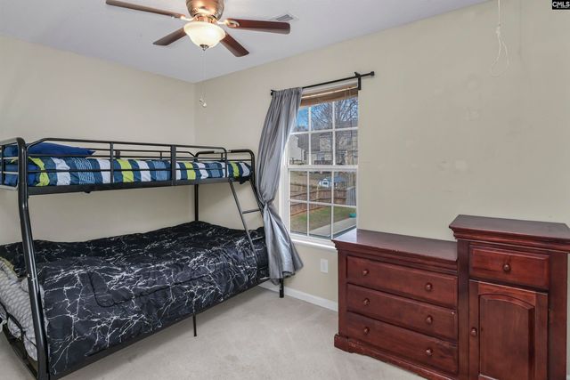 120 Tail Feather Way, Chapin, SC 29036