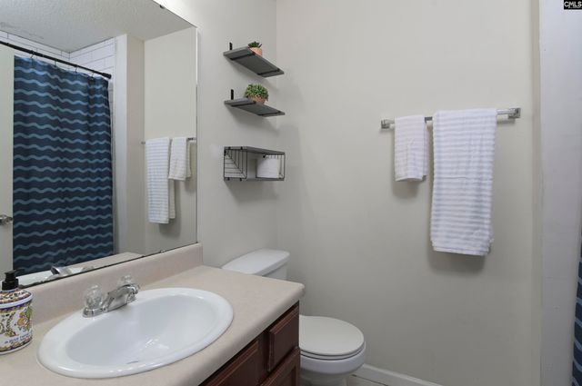 120 Tail Feather Way, Chapin, SC 29036