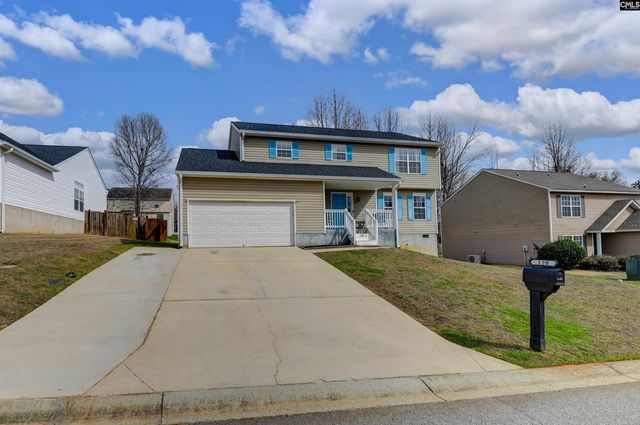 120 Tail Feather Way, Chapin, SC 29036