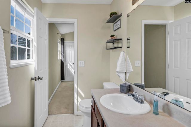 120 Tail Feather Way, Chapin, SC 29036