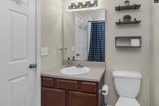 120 Tail Feather Way, Chapin, SC 29036