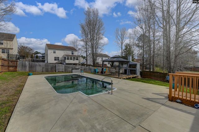 120 Tail Feather Way, Chapin, SC 29036