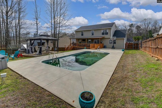 120 Tail Feather Way, Chapin, SC 29036