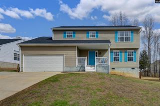 120 Tail Feather Way, Chapin, SC 29036