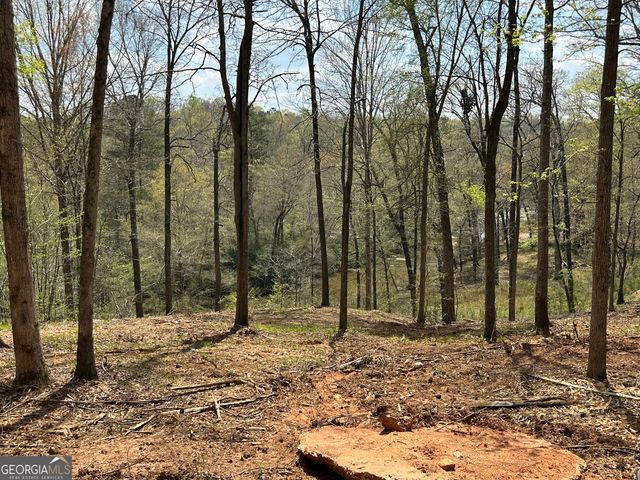 607 Forest Pointe Drive, Forsyth, GA 31029
