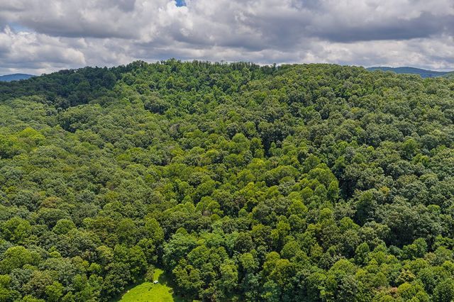 0 Homer Wright Road, Talking Rock, GA 30175