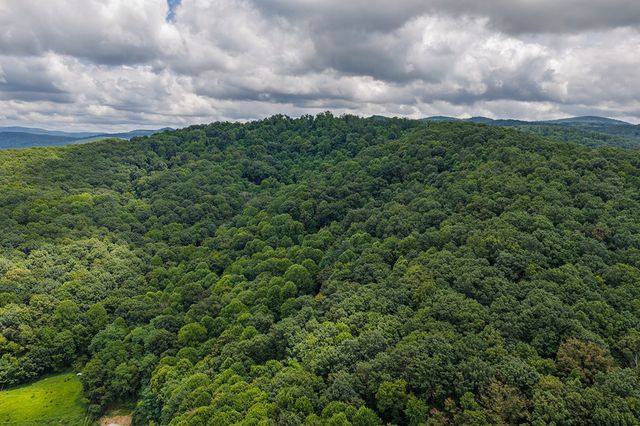 0 Homer Wright Road, Talking Rock, GA 30175