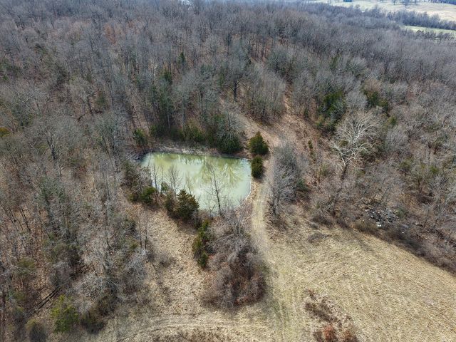 354 Grier Branch Road, Strafford, MO 65757