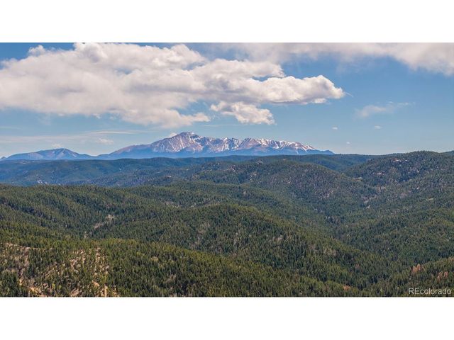 13939 Forest Ln, Larkspur, CO 80118