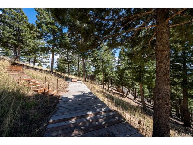 13939 Forest Ln, Larkspur, CO 80118