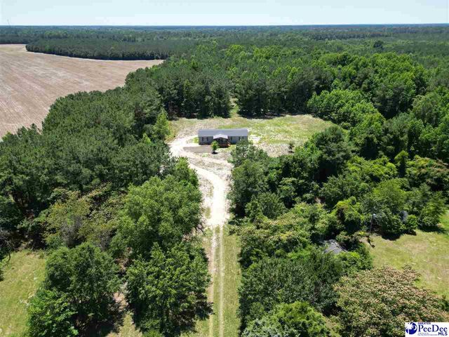 2823 N Old River Rd, Pamplico, SC 29583