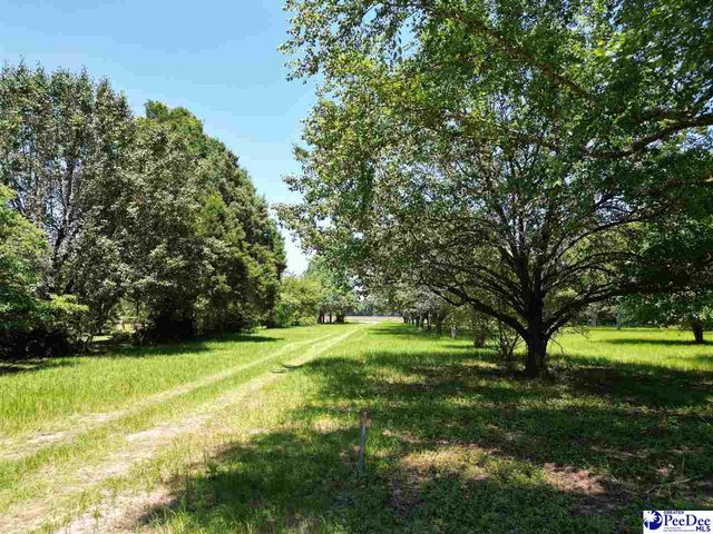 2823 N Old River Rd, Pamplico, SC 29583