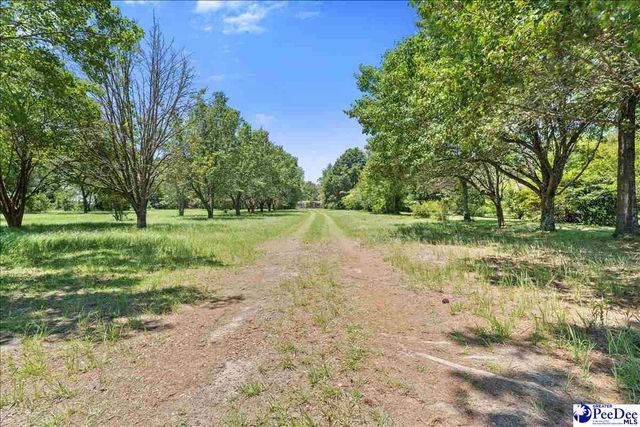 2823 N Old River Rd, Pamplico, SC 29583