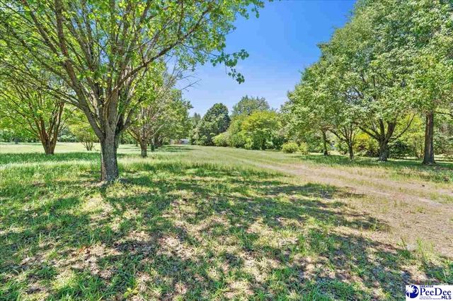 2823 N Old River Rd, Pamplico, SC 29583