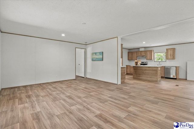 2823 N Old River Rd, Pamplico, SC 29583