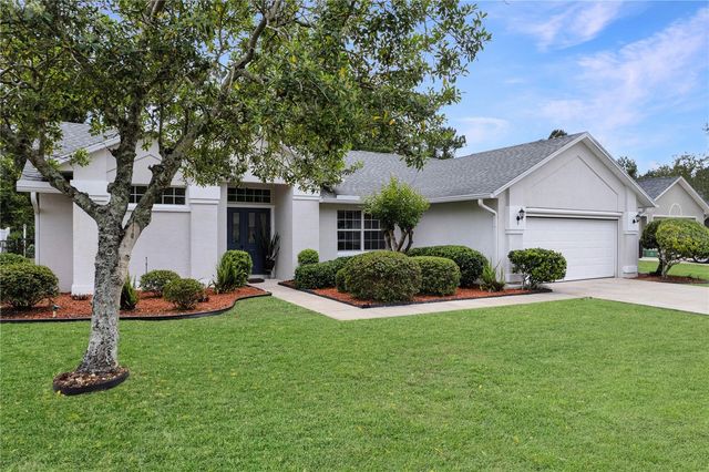 9 BUFFALO VIEW LANE, Palm Coast, FL 32137