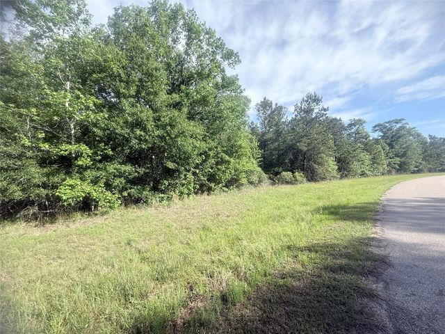 21203 Grant Lake Circle, Cleveland, TX 77328