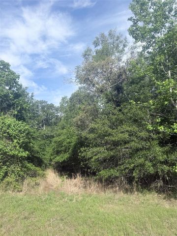 21203 Grant Lake Circle, Cleveland, TX 77328