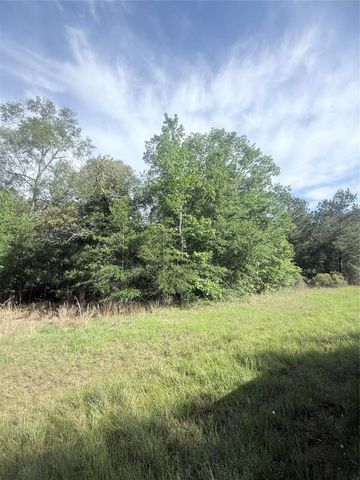 21203 Grant Lake Circle, Cleveland, TX 77328