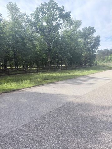 21203 Grant Lake Circle, Cleveland, TX 77328