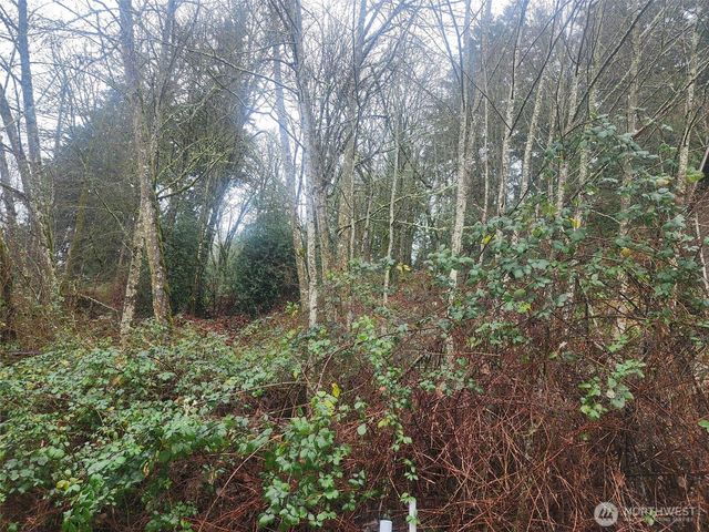 679 17th Avenue NW, Issaquah, WA 98027