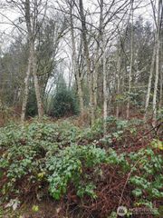 679 17th Avenue NW, Issaquah, WA 98027