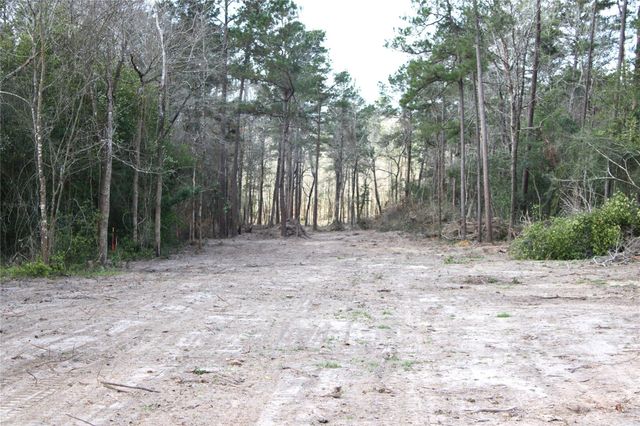 TBD Highway 150, Coldspring, TX 77331