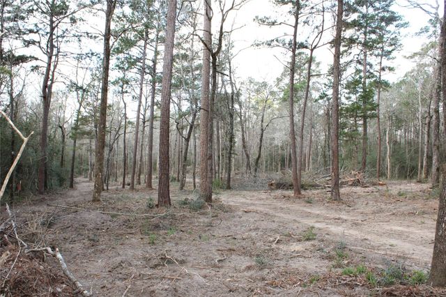 TBD Highway 150, Coldspring, TX 77331