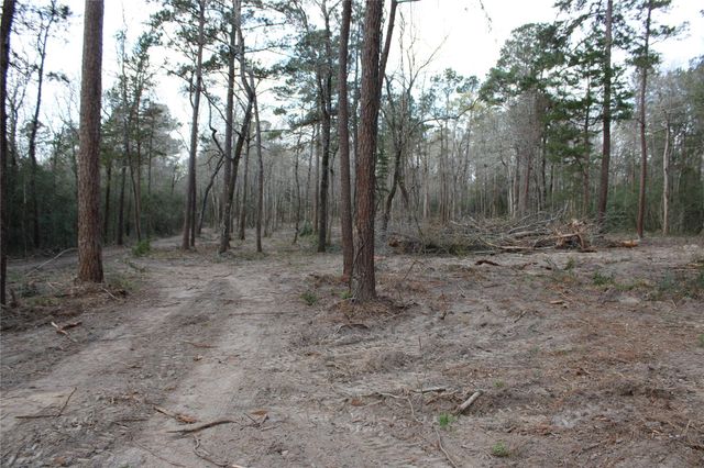 TBD Highway 150, Coldspring, TX 77331