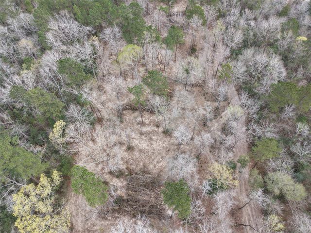 TBD Highway 150, Coldspring, TX 77331