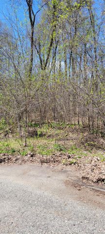 00 VL Pady, Brighton Township, MI 48114