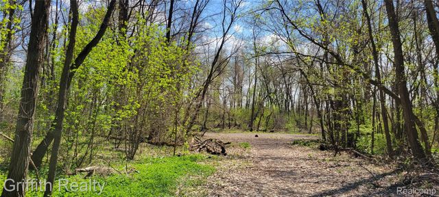 00 VL Pady, Brighton Township, MI 48114