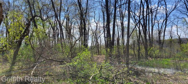 00 VL Pady, Brighton Township, MI 48114