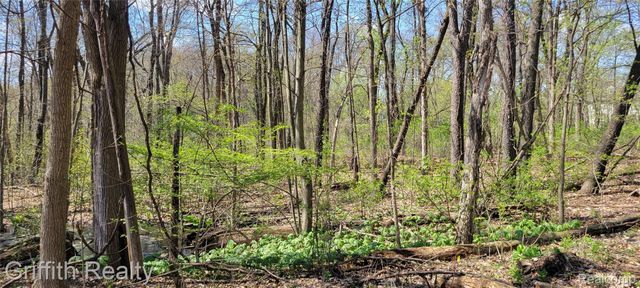 00 VL Pady, Brighton Township, MI 48114