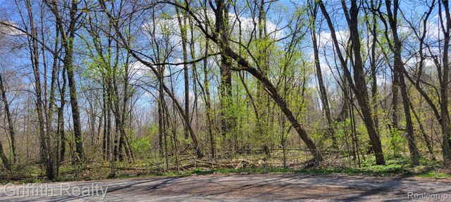 00 VL Pady, Brighton Township, MI 48114